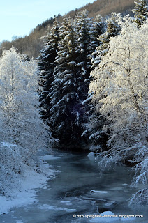 Winter Wonderland in the Sognefjord!