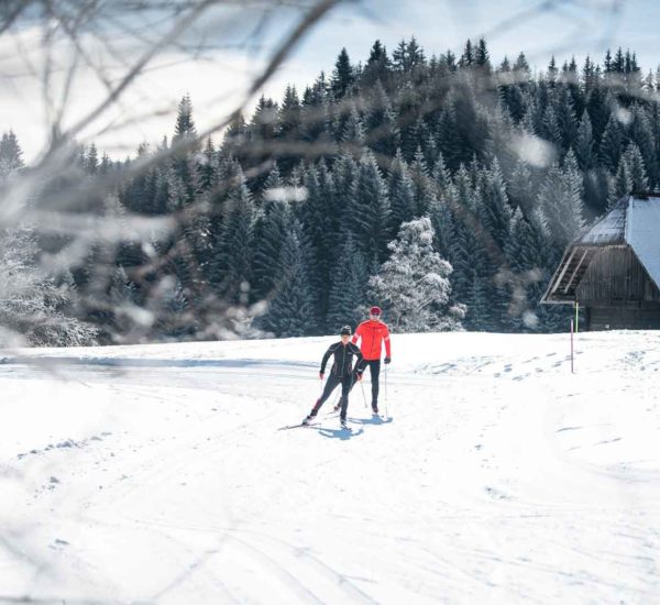 Une journée nordique au Revard