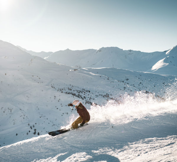 Ski Performance