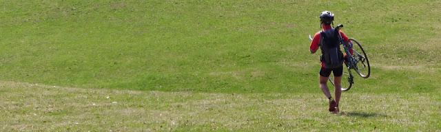 Avril, la grosse peignée