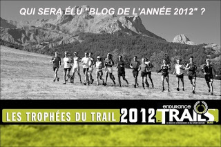 Eléction du meilleur blog 2012 – Endurance Mag : Peignée Verticale nominé !