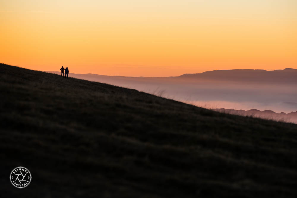 Peignee-Verticale-Couleurs-automne-2015-0224