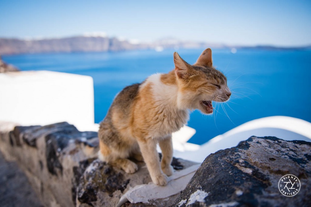 Peignee-Verticale-2016-Cyclades-3816