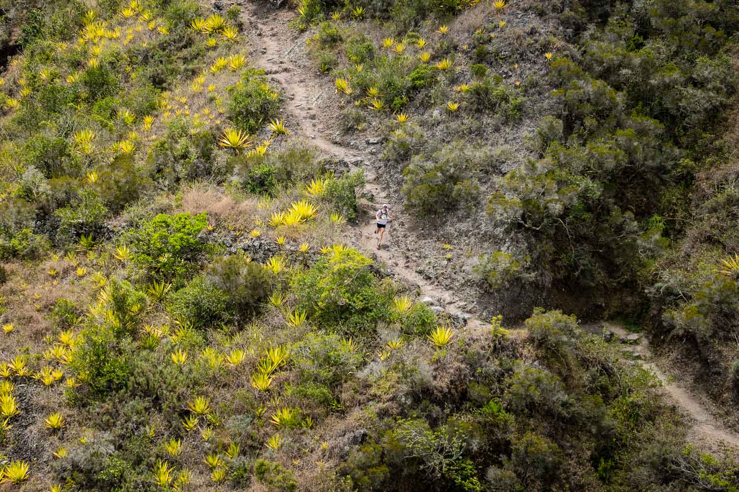 Diagonale des Fous 2017 : les meilleures photos