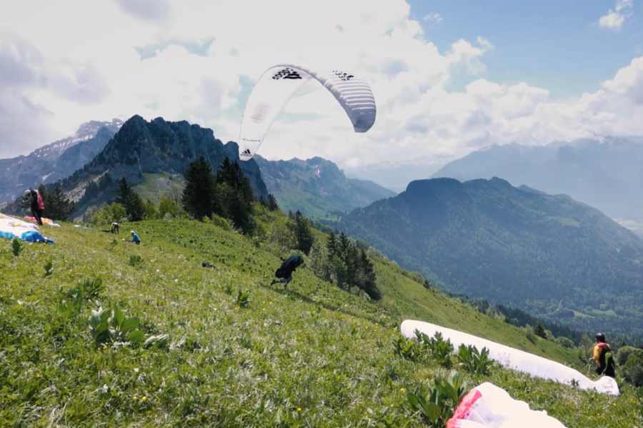 Daily Report – BTF