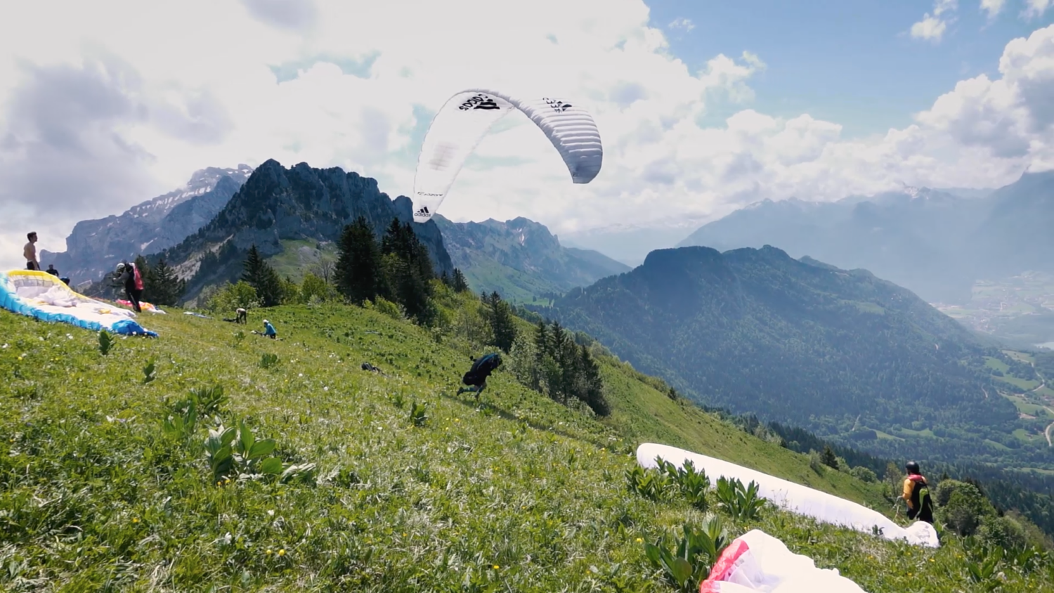 Daily Report – BTF