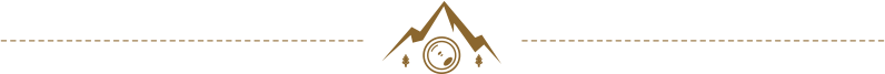 Image module