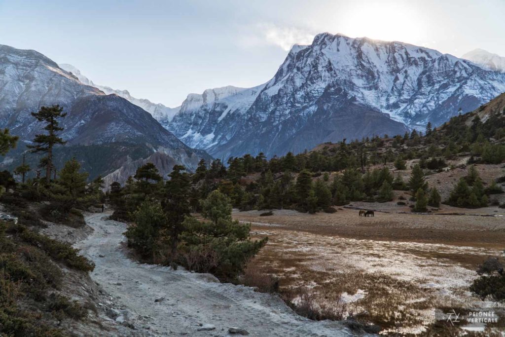 Annapurnas, Népal, Nepal, Trek