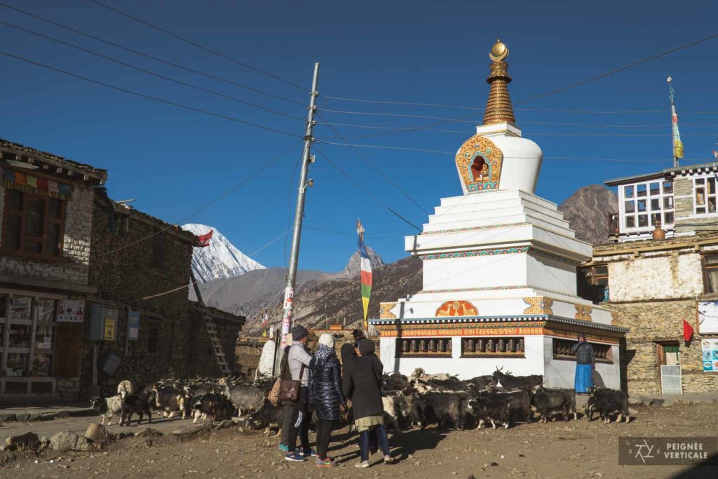 Annapurnas, Népal, Nepal, Trek