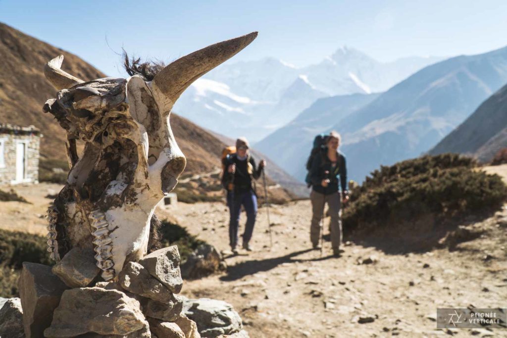 Annapurnas, Népal, Nepal, Trek