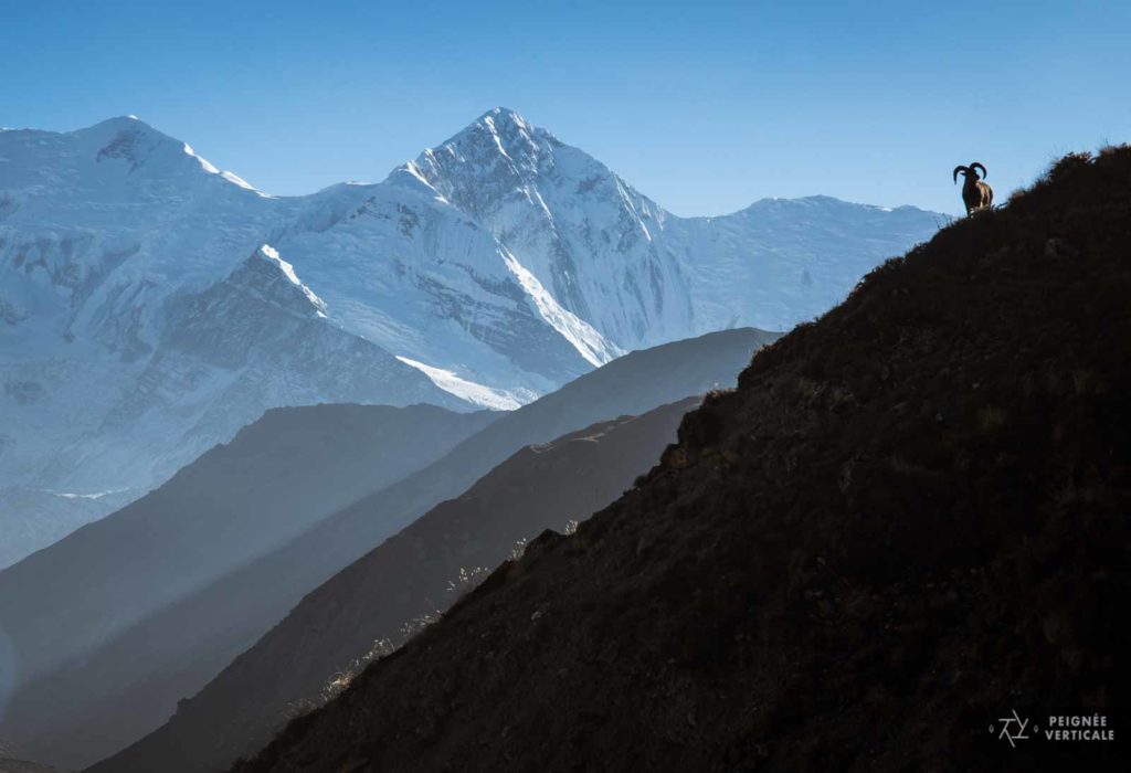 Annapurnas, Népal, Nepal, Trek