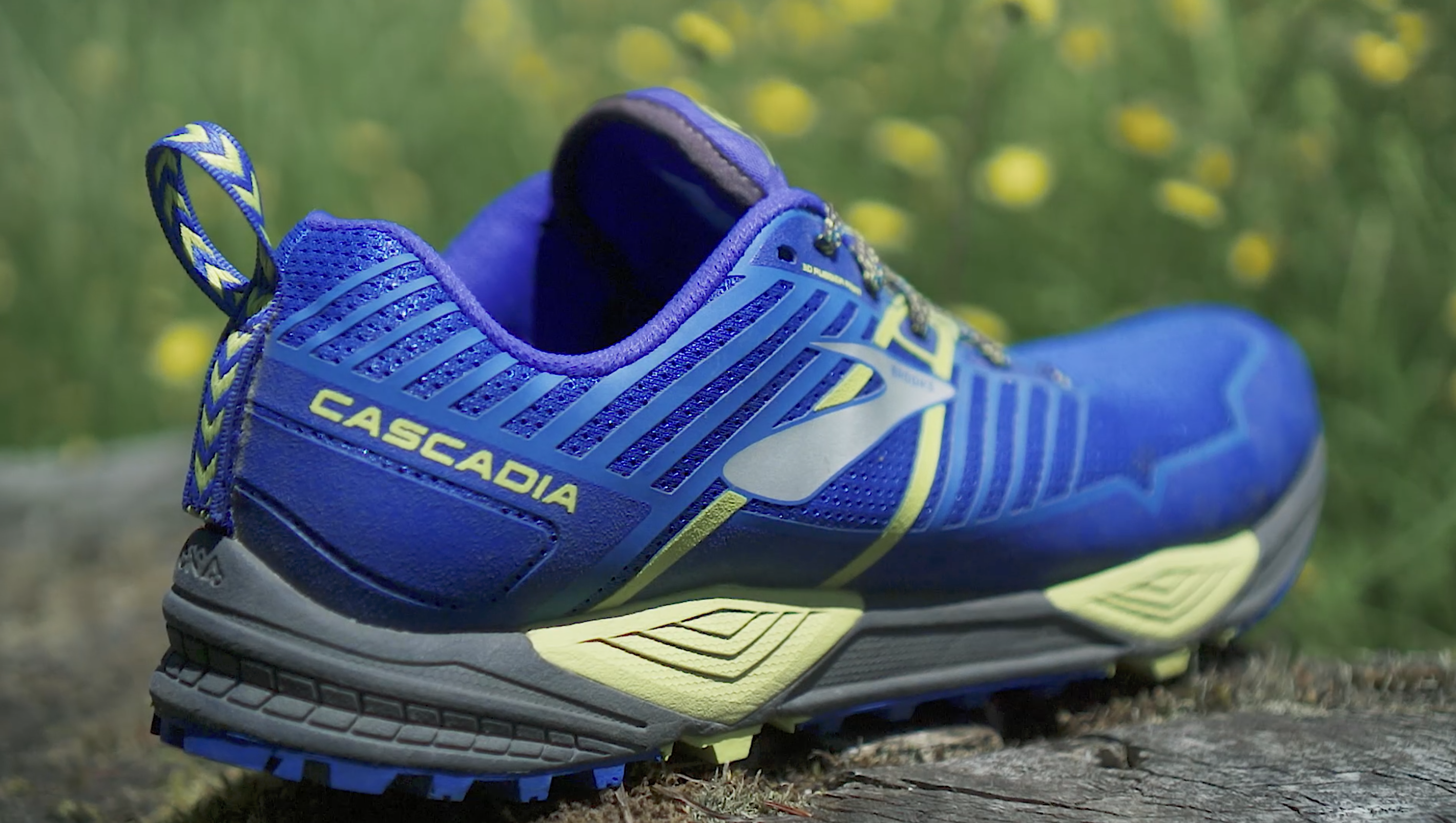Cascadia 13