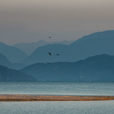 Plage crée suite à la sécheresse du Lac d'Annecy