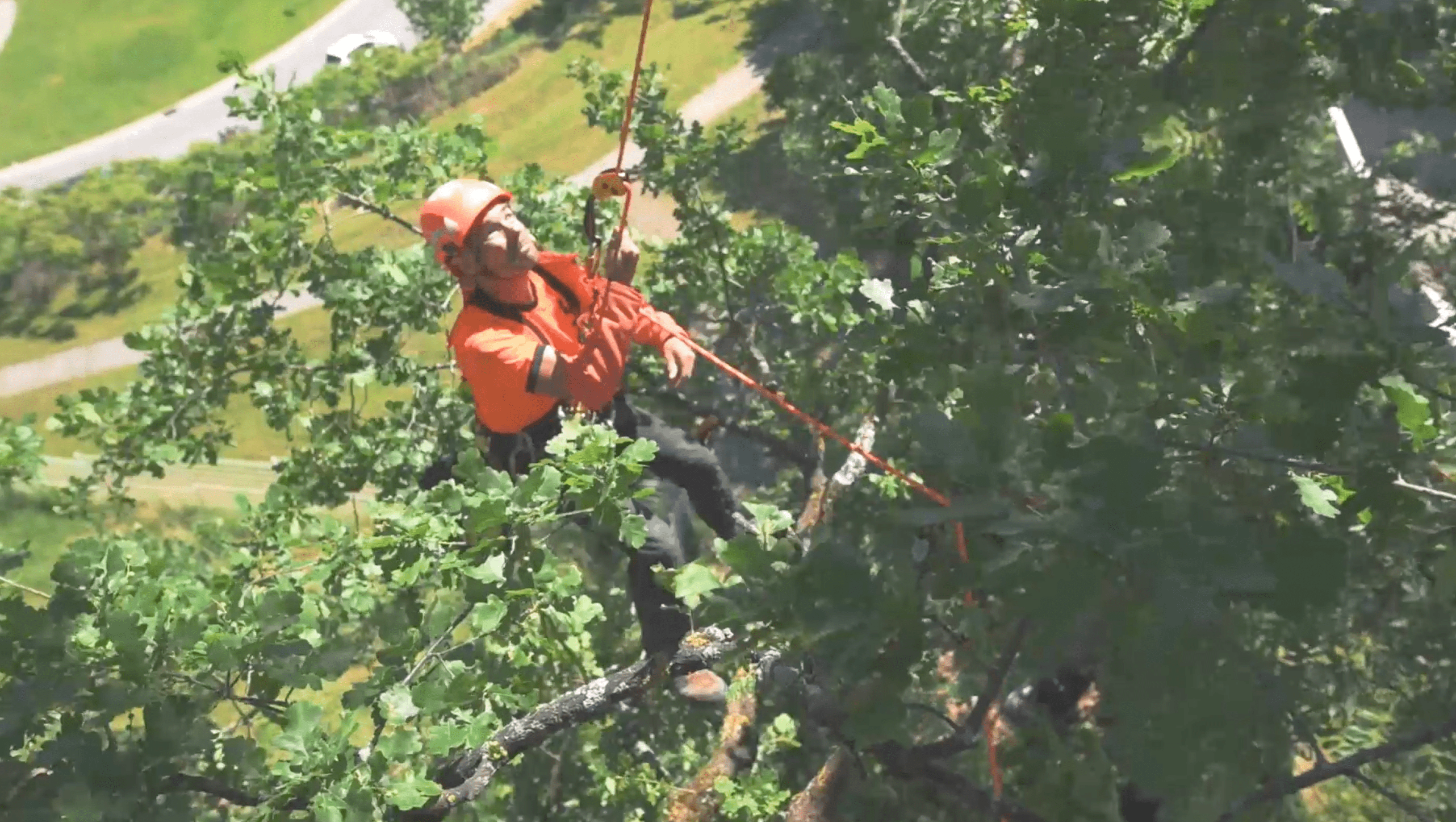 Move in trees