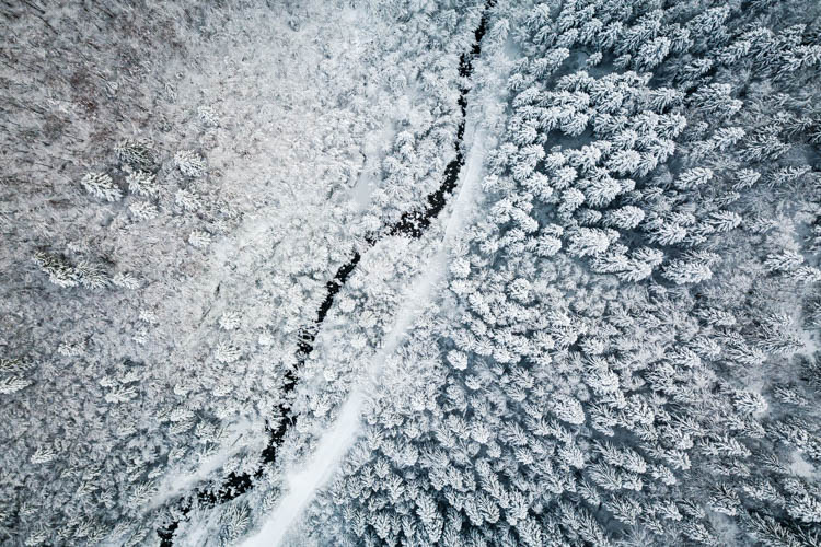 Vue aérienne sur une forêt après une tempête de neige, Massif des Bauges, France. Format paysage.