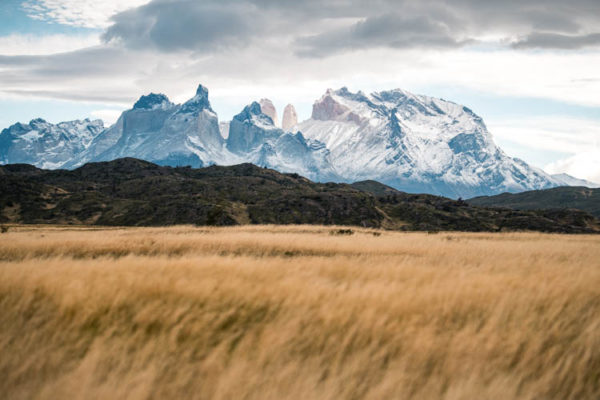 Les Torres del Paine se découpent dans l'horizon de la steppe Patagonienne, Chili. Format paysage.